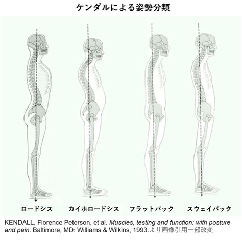 背座位|姿勢の定義と分類の再考